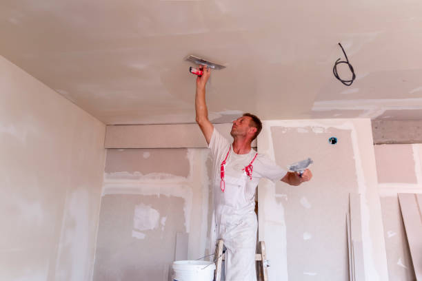 Best Wallpaper Removal and Painting  in Shelby, MI